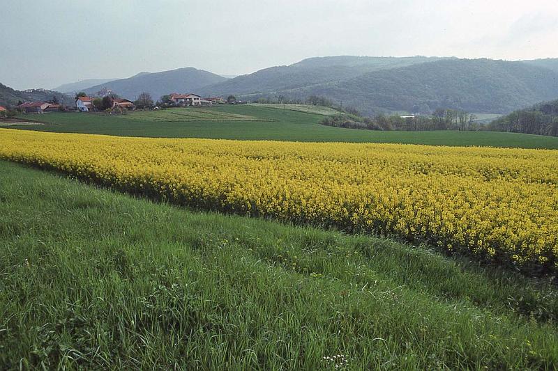 WT 2500 318-28 France 92.jpg